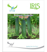 Cucumber / Kakri F1 Iris IHS-120 20 grams
